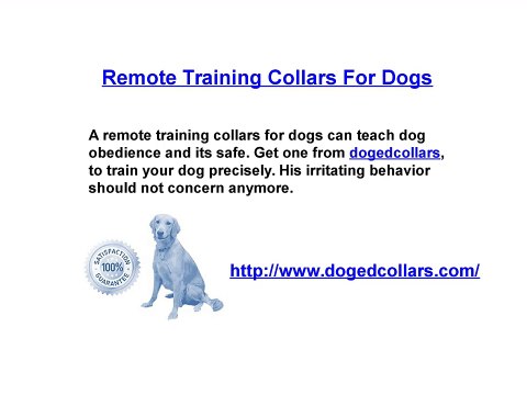 Remote training collars for dogs
