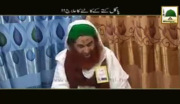 Ilyas Qadri is Telling How To Cure From Dog Biting.. پاگل کتے کے کاٹنے کا علاج