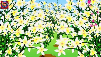 KZKCARTOON TV-Poombatta _ Malayalam Kids Songs _ Malayalam Kutti Paatugal