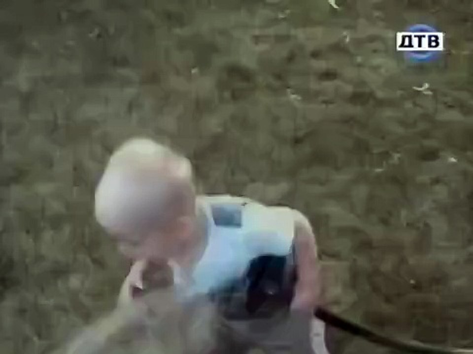 Смешные коты скачать приколы мои видео приколы