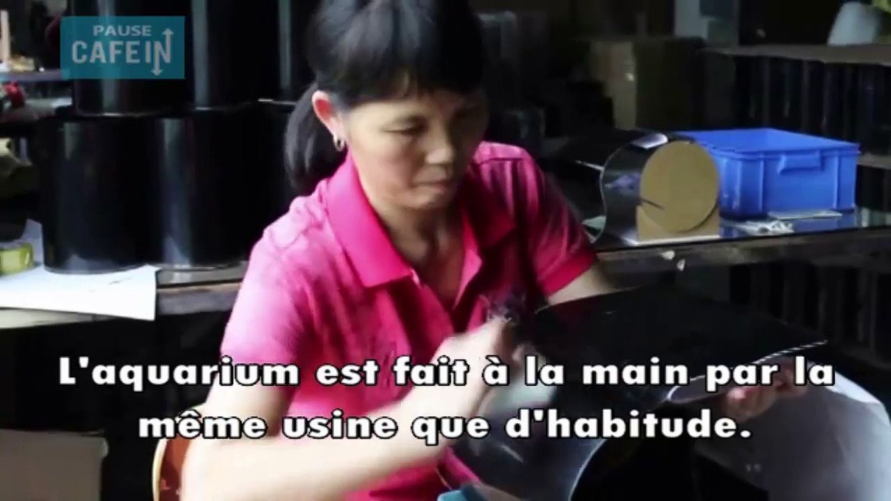 Vous pouvez désormais avoir une méduse dans votre maison !