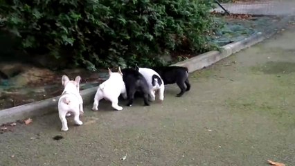 les bébés qui jouent avec une bouteille