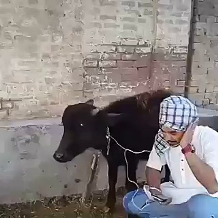 Funny Diljit Dosanjh song