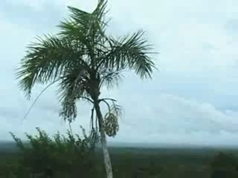 Axa - Guatemala