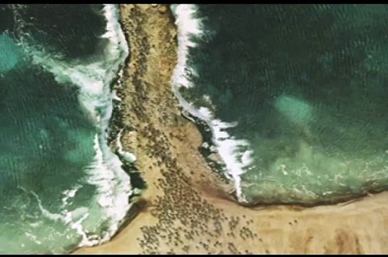 Hazrat Musa aur unki lathi ka mojza samandar ko bhi cheer diya by Maulana Tariq Jameel