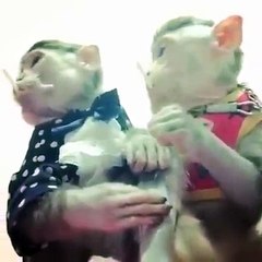 یاروں یہ دوستی چیک کرو