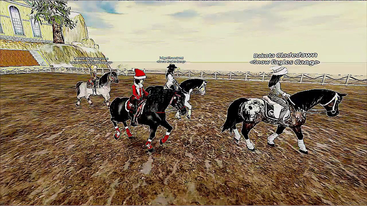 Snow eagles & friends winterritt 2015