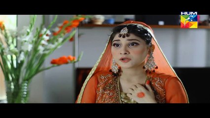 Ek Thi Misaal Episode 31 Full on Hum Tv | 28 December 2015