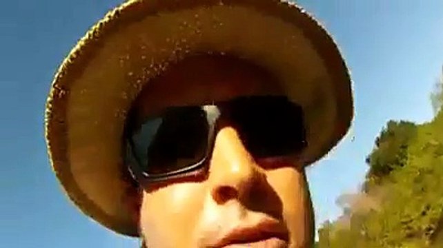 Un pez hecho pedazos en un abrir y cerrar de ojos