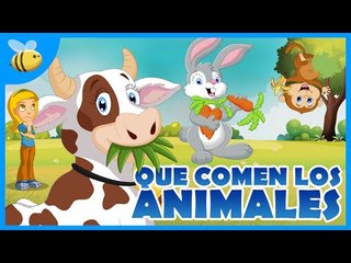 ¿Qué comen los animales Herbívoros, Carnívoros, Omnívoros? - Aula365