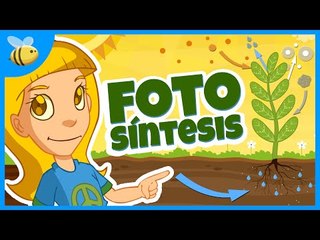 Partes de las Plantas y la Fotosíntesis - Aula365