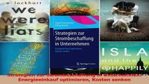 Download  Strategien zur Strombeschaffung in Unternehmen Energieeinkauf optimieren Kosten senken PDF Online