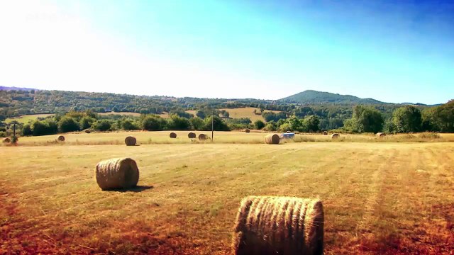 Zu Tisch auf der Ile de Ré