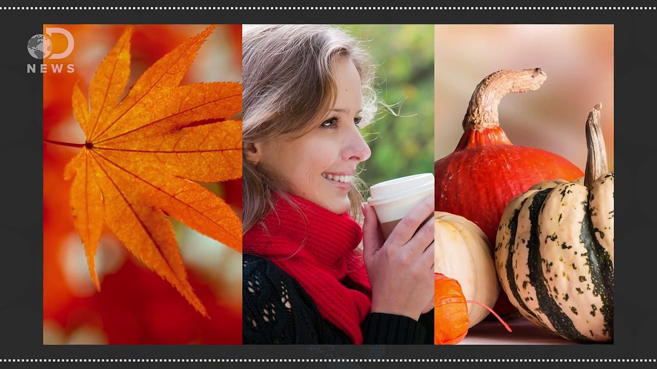 Fall As You Know It Is Disappearing