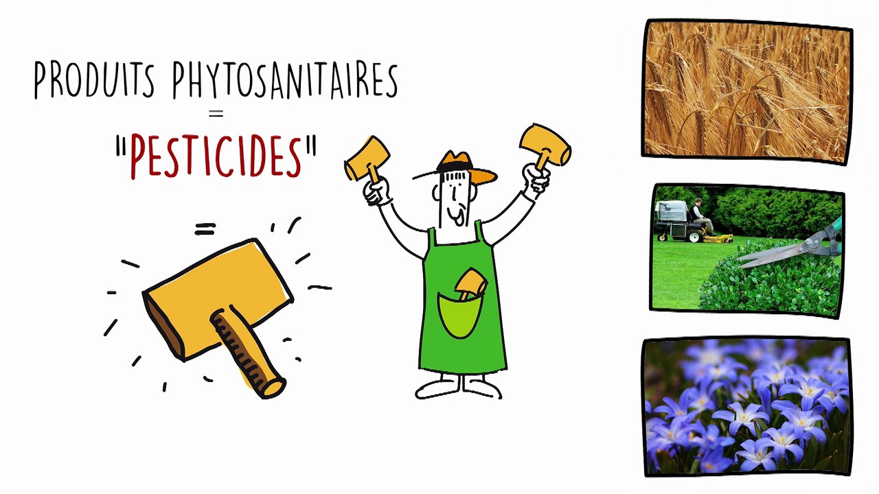 Les pesticides (ARS) - 1ere partie
