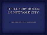 Top 5 Luxury Hotels in New York City