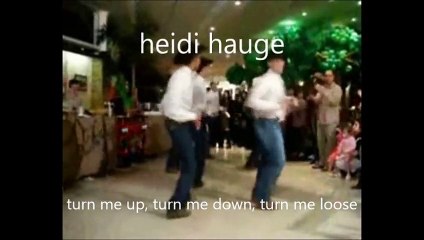 h@ns - turn me up, turn me down, turn me loose / heidi hauge