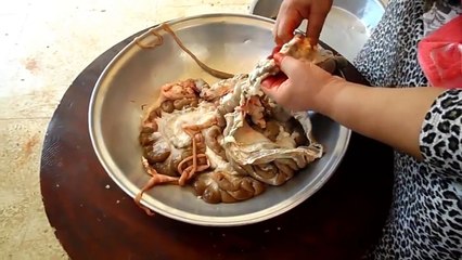تنظيف مصران الخروف من الاول الى الاخر- المطبخ التونسي - Tunisian Cuisine