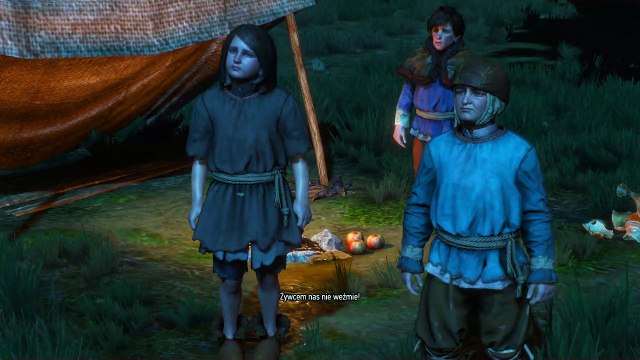 Wiedźmin 3 Dziki Gon - złodzieje kurczaków