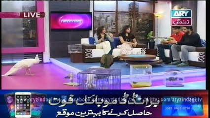 Breaking Weekend 27th December 2015