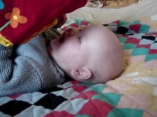 Caché coucou à la ferme