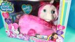 pony babies New PONY SURPRISE Unicorn Surprise Toys Pink Toys R Us Pony Baby Babies Fun Cute Video