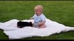 The best of 2016 Dogs Meeting Babies for First Time Compilation 2014 Dogs Meeting Babies