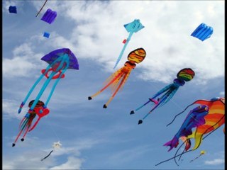 Luc Romann  Les papillons de papier