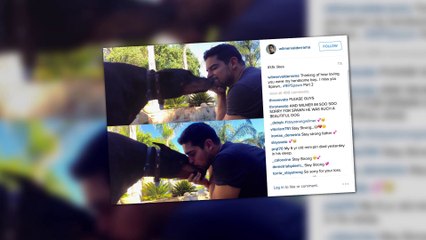 Demi Lovato Mourns the Loss of Another Pet