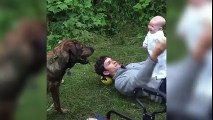 Baby can't stop laughing at dog fetching a ball