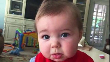 Not a fan of cats...