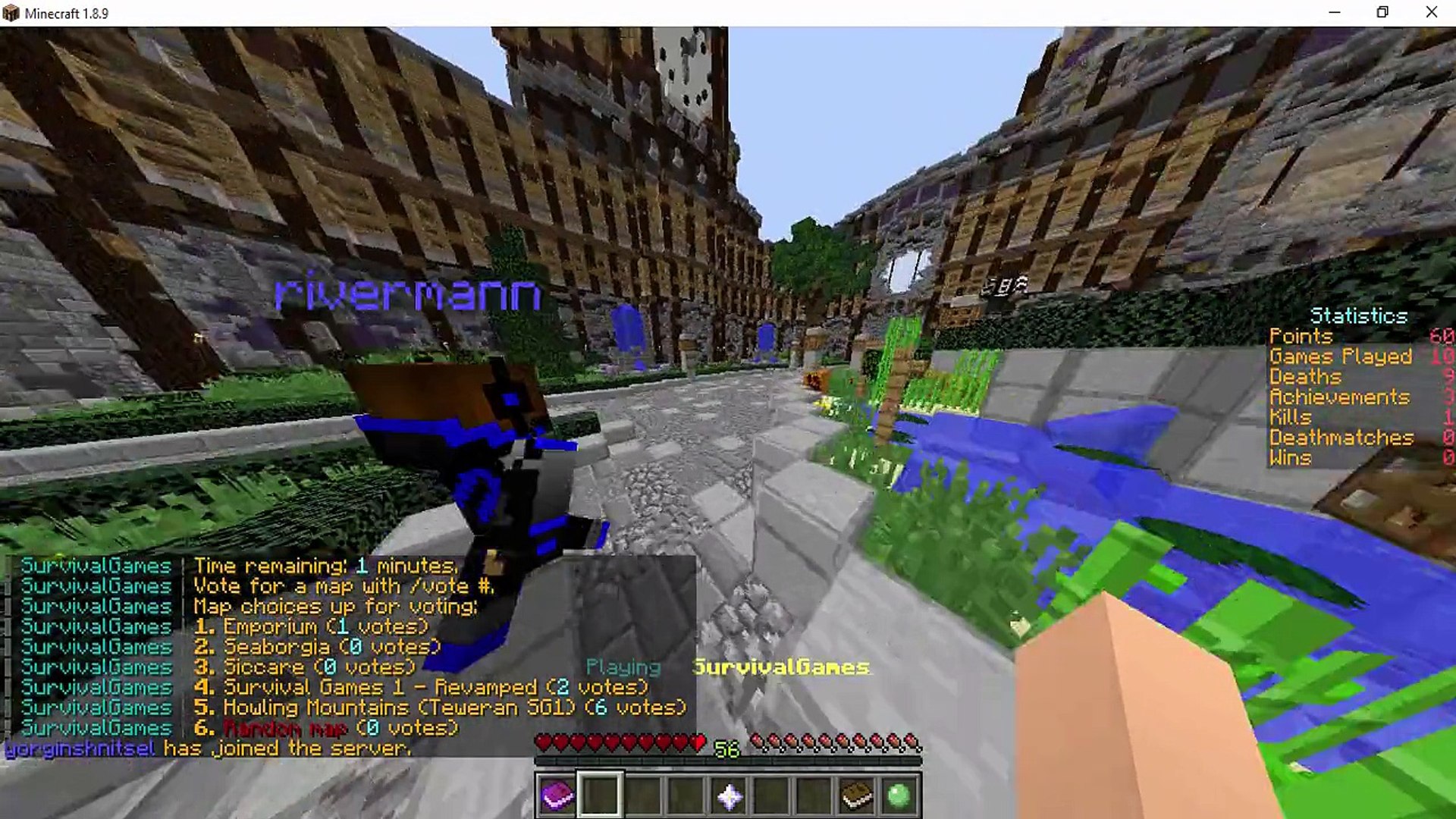 Minecraft Survival Games [TheHive]