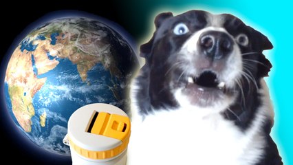 Talking Dog Saves the World – Podcycle Kickstarter