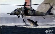 Shark Attack caught on tape by military helicopter camera : real or fake?