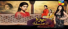 Mera Dard Na Jany Koi Episode 44 Promo HUM TV Drama 28 Dec 2015