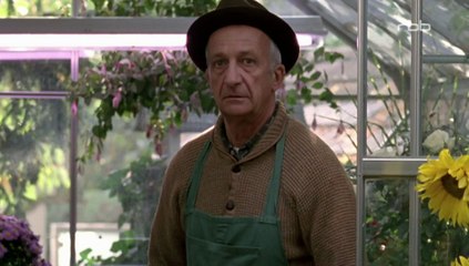 Das Glück kommt unverhofft (Ganzer Film Deutsch)