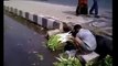Las camaras capturan a este hombre lavando estos vegetales en plena calle