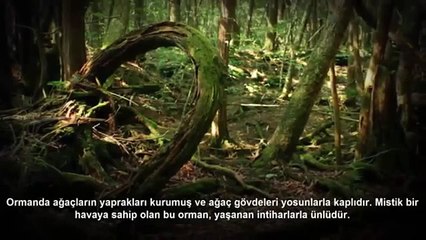 Paranormal Olayların Yaşandığı 5 Korkunç Yer