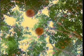 Doi con co don (Nguoi yeu co don 2) _ Truong Vu karaoke HD