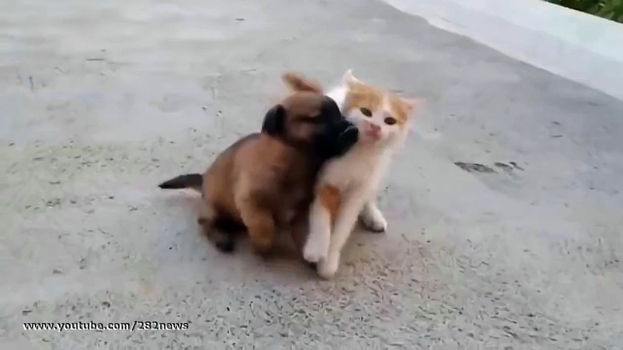 Молодые бойцы