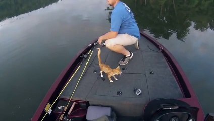 Необычный улов на реке Блэк Уорриор