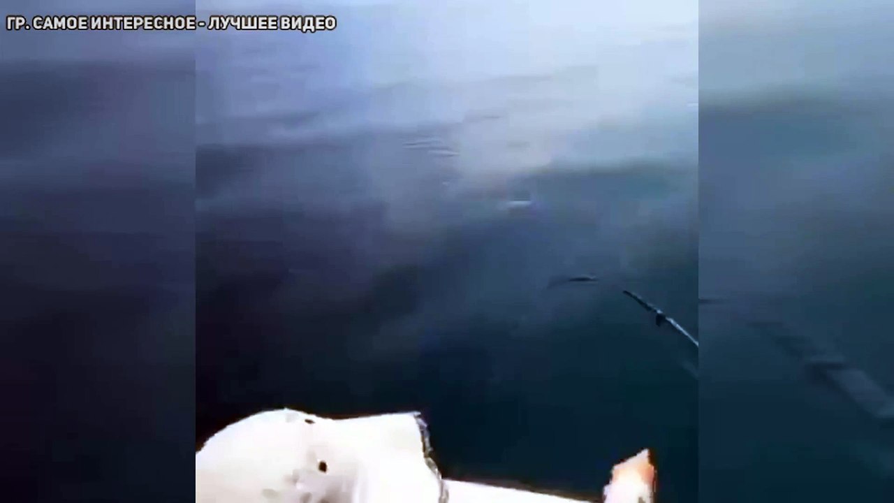 Порыбачил называется, спасибо