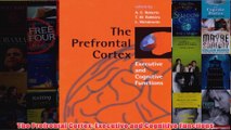 The Prefrontal Cortex Executive and Cognitive Functions