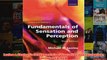 Levine  Shefners Fundamentals of Sensation and Perception Includes CDROM