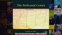The Prefrontal Cortex Fifth Edition