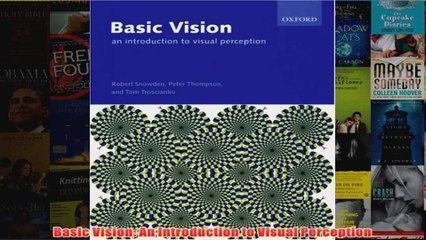 Basic Vision An Introduction to Visual Perception