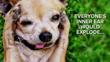 If The World Lost Oxygen For 5 Seconds