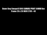 Boxer Dog (image3) DOG CANVAS PRINT 38MM Box Frame 20 x 28 INCH 2785 - 43