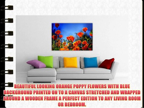 CANVAS WALL ART PRINTS ORANGE POPPY FLOWERS ROMANTIC PHOTO PRINT PICTURE ROOM DECORATION FLORAL