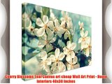 Cherry Blossoms Teal Canvas art cheap Wall Art Print - Home Interiors 40x30 inches